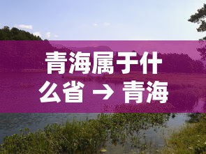 青海属于什么省 → 青海跟甘肃是一个省吗 青海属于什么省 → 青海跟甘肃是一个省吗