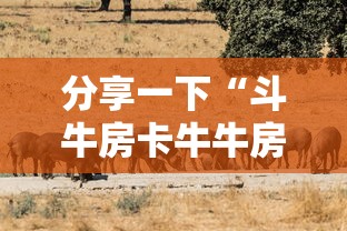 分享一下“斗牛房卡牛牛房卡”获取玩金花房卡链接教程