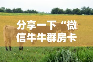 分享一下“微信牛牛群房卡哪里买”详细房卡使用教程