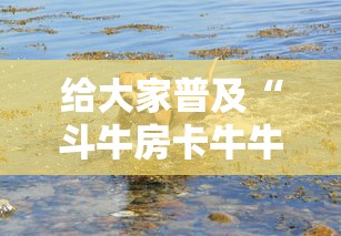 一分钟了解“微信群金花链接房卡”获取玩金花房卡链接教程
