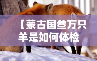 给大家普及“牛牛链接房卡在哪里弄	”详细房卡教程