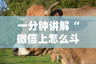 玩家必知“15元100张房卡代理”详细房卡怎么充值教程
