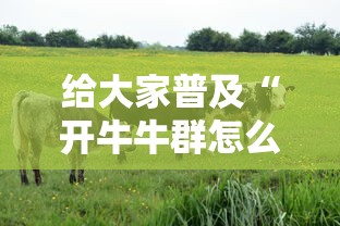 给大家普及“开牛牛群怎么买房卡	”房卡使用方法介绍