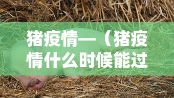 玩家测评“微信斗牛平台链接房卡”如何获取房卡教程