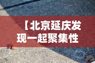 【三亚最新疫情·三亚今天最新通知】 【三亚最新疫情·三亚今天最新通知】