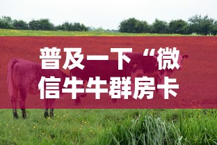 普及一下“微信牛牛群房卡怎么弄”获取房卡教程