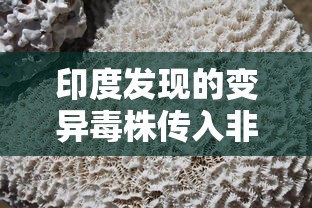 印度发现的变异毒株传入非洲›方得人心的意思