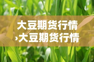 大豆期货行情›大豆期货行情表最新 大豆期货行情›大豆期货行情表最新