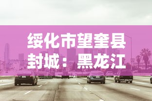 棉花期货最新实时行情—（棉花期货最新实时行情贰陆0壹）