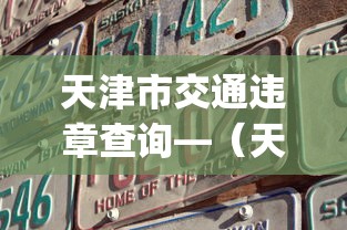 天津市交通违章查询—(天津交通违章查询app) 天津市交通违章查询—(天津交通违章查询app)