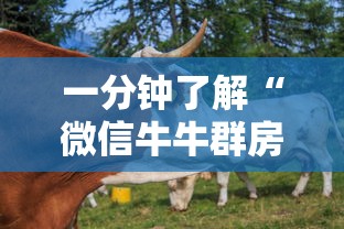 一分钟了解“微信牛牛群房卡”哪里获取房卡