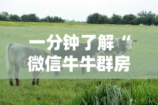 一分钟了解“微信牛牛群房卡”哪里获取房卡
