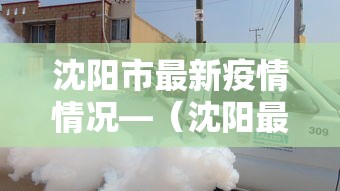 沈阳市最新疫情情况—(沈阳最新疫情消息实时更新) 沈阳市最新疫情情况—(沈阳最新疫情消息实时更新)