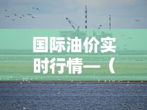 国际油价实时行情—（今天国际油价）