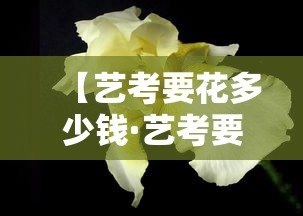 【艺考要花多少钱·艺考要花多少钱舞蹈】