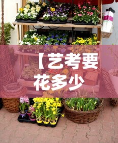 【艺考要花多少钱·艺考要花多少钱舞蹈】 【艺考要花多少钱·艺考要花多少钱舞蹈】