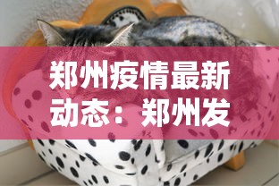 郑州疫情最新动态：郑州发布最新消息今天