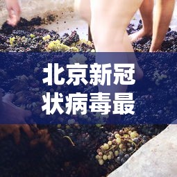 北京新冠状病毒最新消息 → 北京新冠疫情最新动态数据 北京新冠状病毒最新消息 → 北京新冠疫情最新动态数据