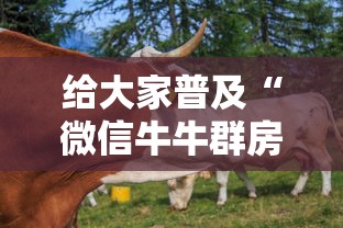 给大家普及“微信牛牛群房卡怎么弄”获取房卡教程
