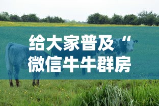 给大家普及“微信牛牛群房卡怎么弄”获取房卡教程