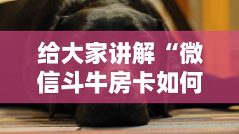 给大家讲解“微信斗牛房卡如何购买”房卡获取方法