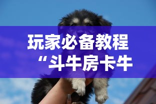 玩家必备教程“斗牛房卡牛牛房卡”房卡链接获取