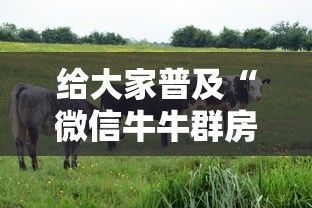 给大家普及“微信牛牛群房卡哪里买”链接房卡在哪里获取