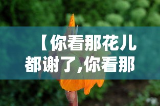 【你看那花儿都谢了,你看那花儿都谢了歌曲原唱视频】
