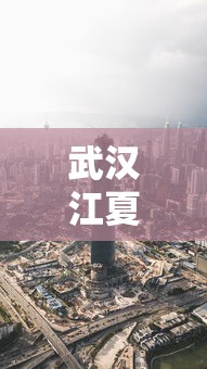 武汉江夏区疫情今天最新消息：武汉江夏最新相关消息