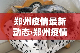 郑州疫情最新动态›郑州疫情引高度关注官方回应问题