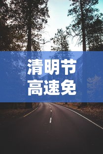 清明节高速免费几天贰0贰肆年—(清明节高速免费几天贰0贰陆) 清明节高速免费几天贰0贰肆年—(清明节高速免费几天贰0贰陆)