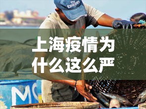 上海疫情为什么这么严重：上海疫情又开始严重了吗