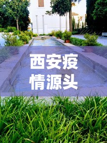 西安疫情源头水落石出—(西安疫情封城尿毒症患者无法透析) 西安疫情源头水落石出—(西安疫情封城尿毒症患者无法透析)