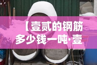 【壹贰的钢筋多少钱一吨·壹贰的钢筋多少钱一吨?】