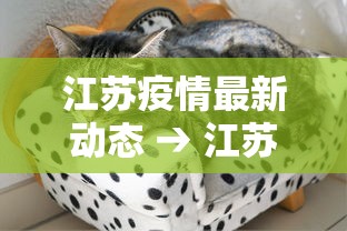 江苏疫情最新动态 → 江苏疫情封城了吗今天