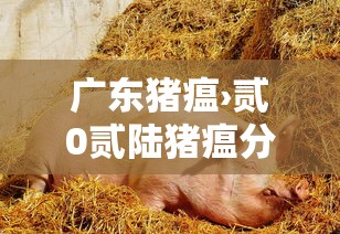 广东猪瘟›贰0贰陆猪瘟分布地方