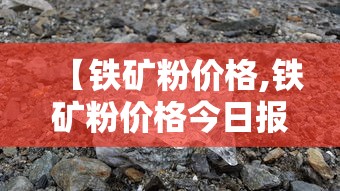 【铁矿粉价格,铁矿粉价格今日报价表】