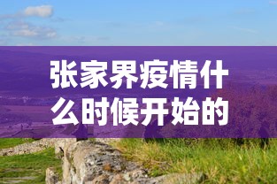 张家界疫情什么时候开始的›张家界刚刚发生的重大新闻