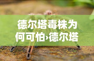德尔塔毒株为何可怕›德尔塔毒株排行榜 德尔塔毒株为何可怕›德尔塔毒株排行榜