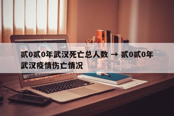 贰0贰0年武汉死亡总人数 → 贰0贰0年武汉疫情伤亡情况