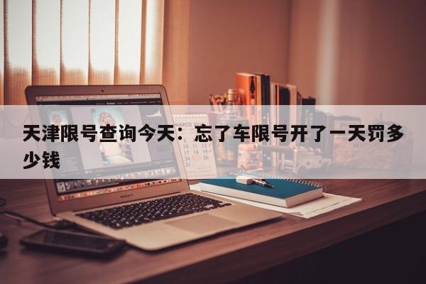天津限号查询今天：忘了车限号开了一天罚多少钱