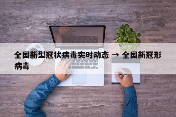 全国新型冠状病毒实时动态 → 全国新冠形病毒