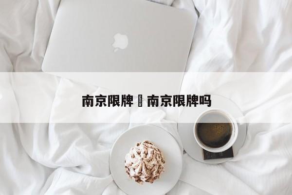 南京限牌›南京限牌吗