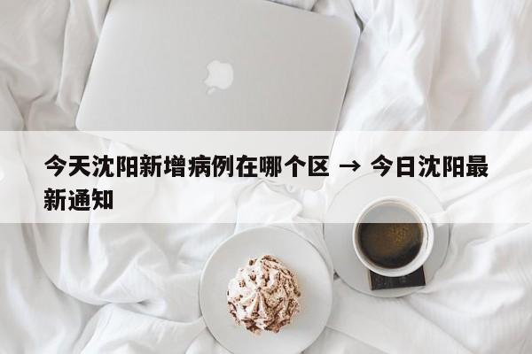 今天沈阳新增病例在哪个区 → 今日沈阳最新通知