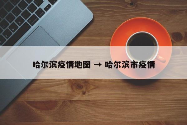 哈尔滨疫情地图 → 哈尔滨市疫情