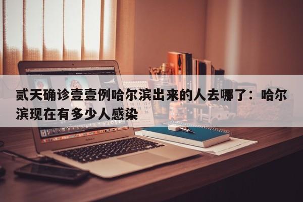 贰天确诊壹壹例哈尔滨出来的人去哪了:哈尔滨现在有多少人感染