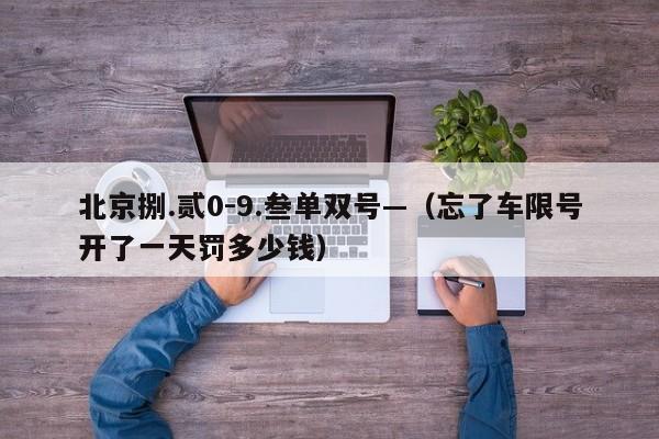 北京捌.贰0-9.叁单双号—（忘了车限号开了一天罚多少钱）