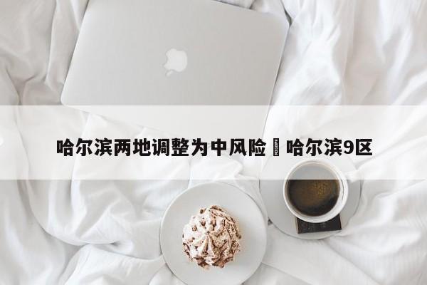 哈尔滨两地调整为中风险›哈尔滨9区