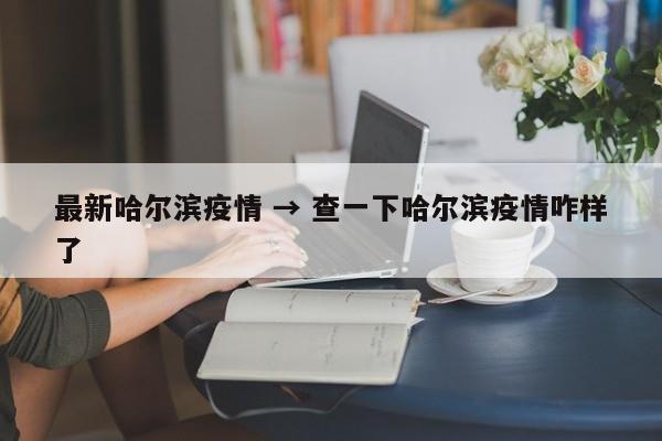 最新哈尔滨疫情 → 查一下哈尔滨疫情咋样了