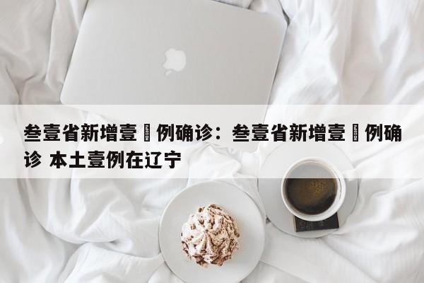 叁壹省新增壹無例确诊：叁壹省新增壹無例确诊 本土壹例在辽宁